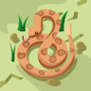 Meet your Posher, Griffin